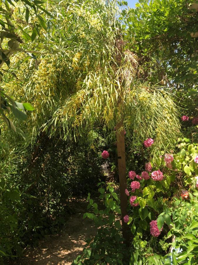 L Atypique Bed & Breakfast L'Ile-d'Olonne Ngoại thất bức ảnh